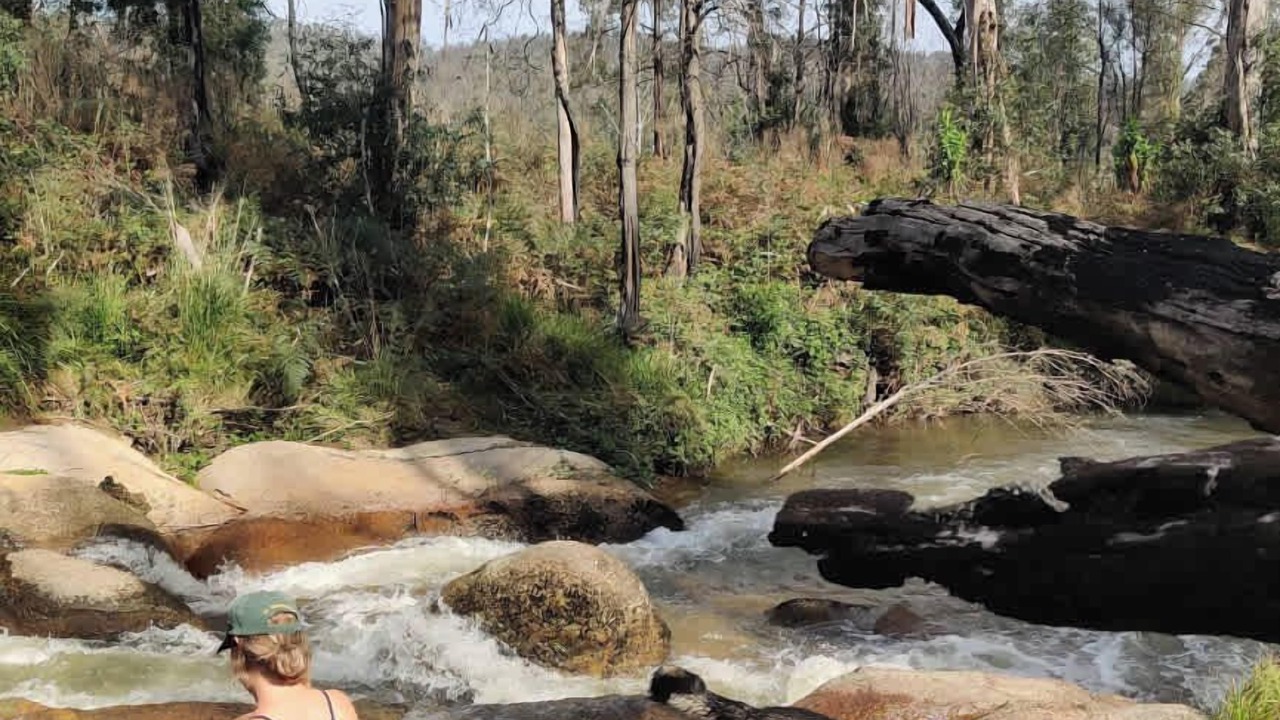 Photo of Others in Goongerah