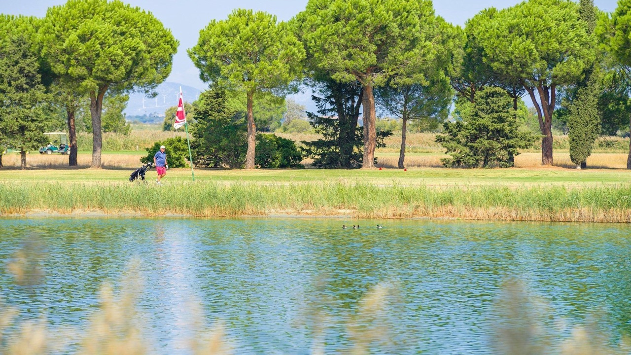 Photo of Others in Saint-Cyprien Plage