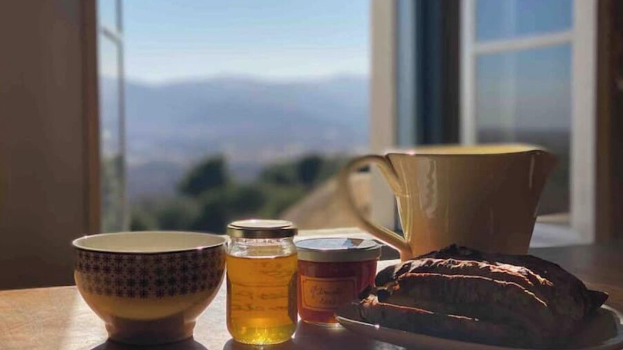 Photo of Others in Ille-sur-Tet