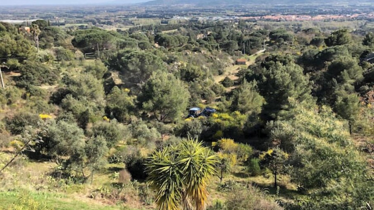 Photo of Outdoor in Ille-sur-Tet