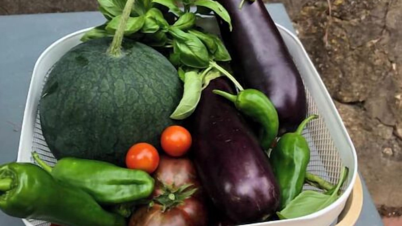 Photo of Others in Ille-sur-Tet