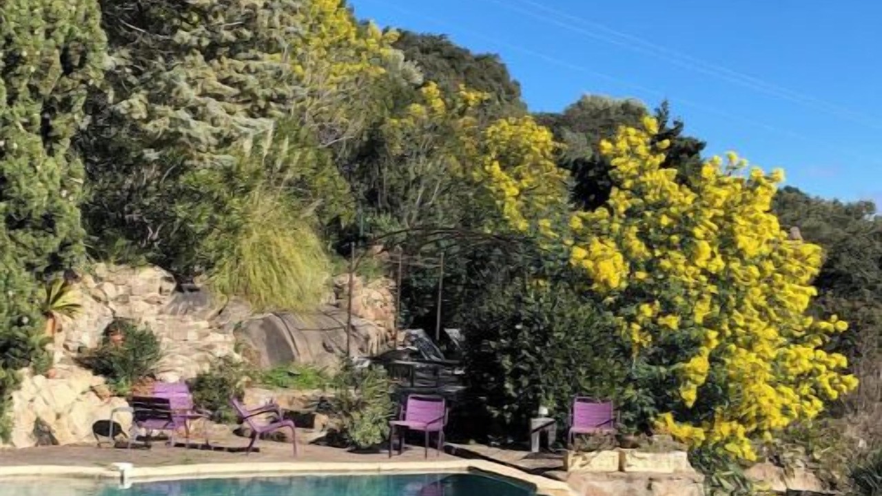 Photo of Outdoor in Ille-sur-Tet