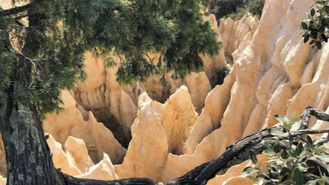 Photo of Others in Ille-sur-Tet