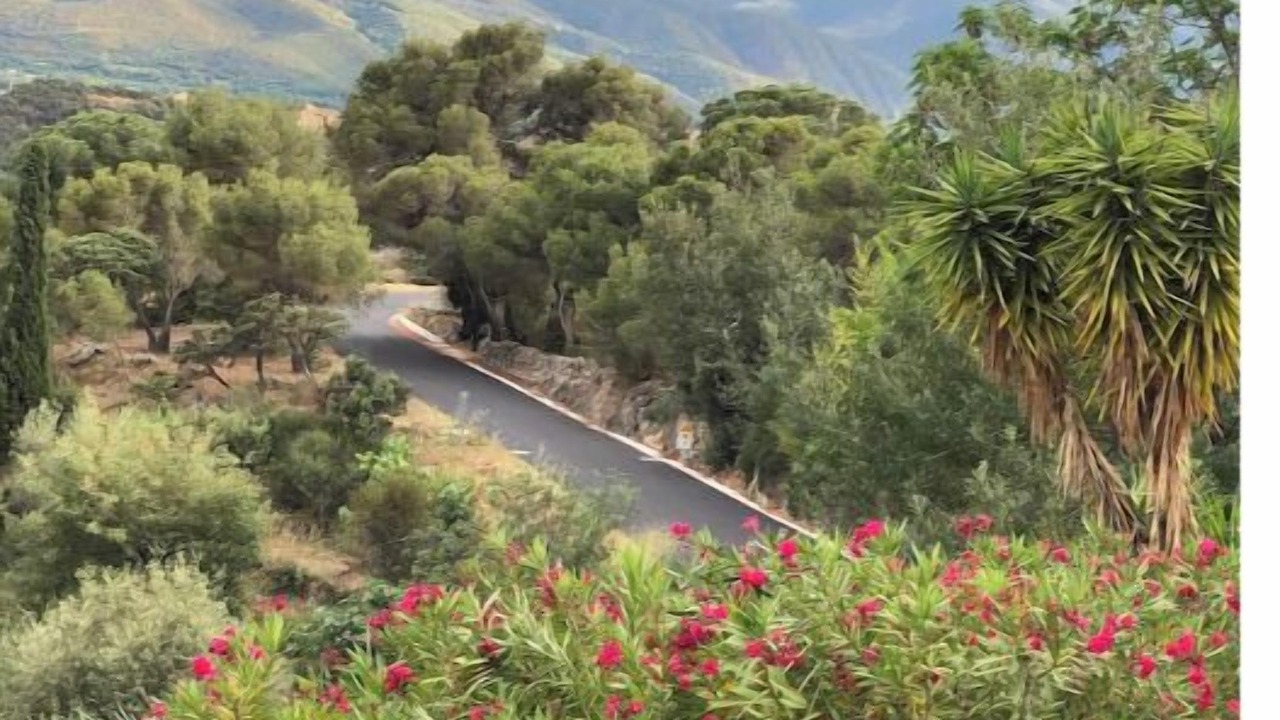 Photo of Others in Ille-sur-Tet