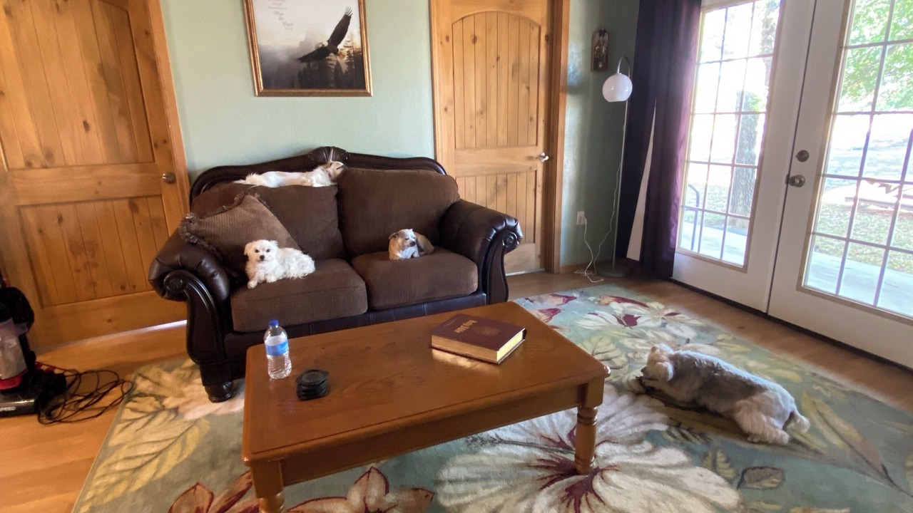 Photo of Livingroom in Clarita