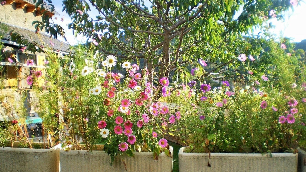 Photo of Outdoor in Castiello de Jaca