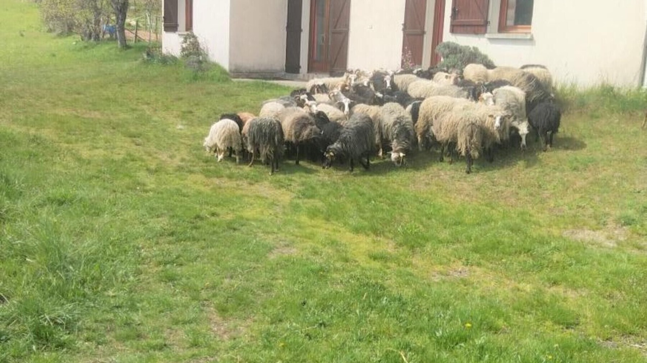 Photo of Outdoor in Dourbies