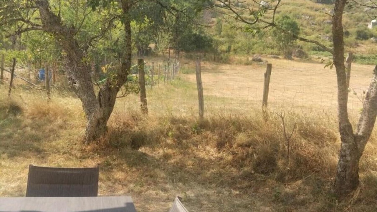 Photo of Outdoor in Dourbies