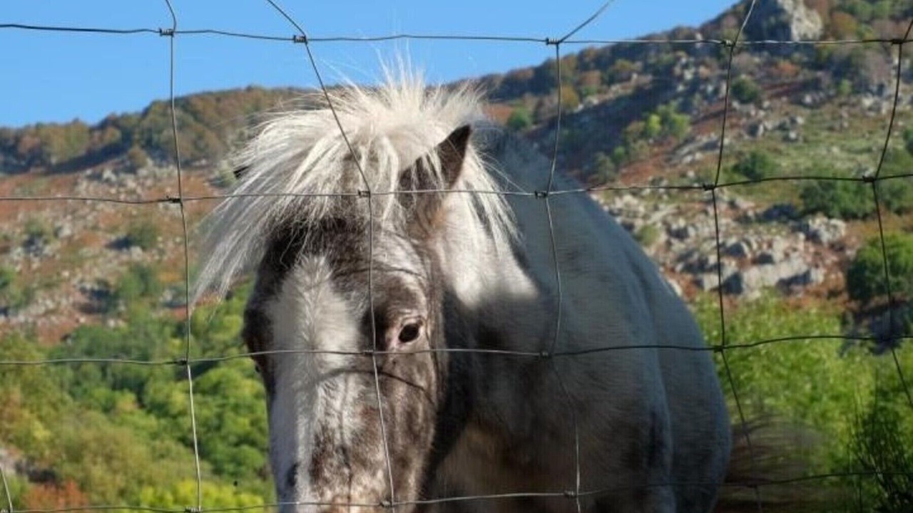 Photo of Others in Dourbies