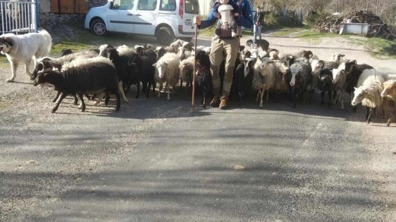 Photo of Others in Dourbies