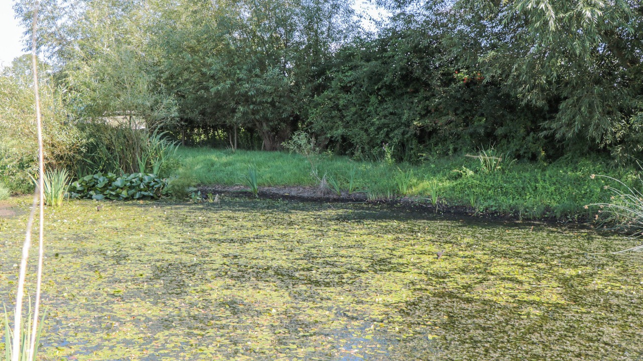 Photo of Outdoor in South Leigh