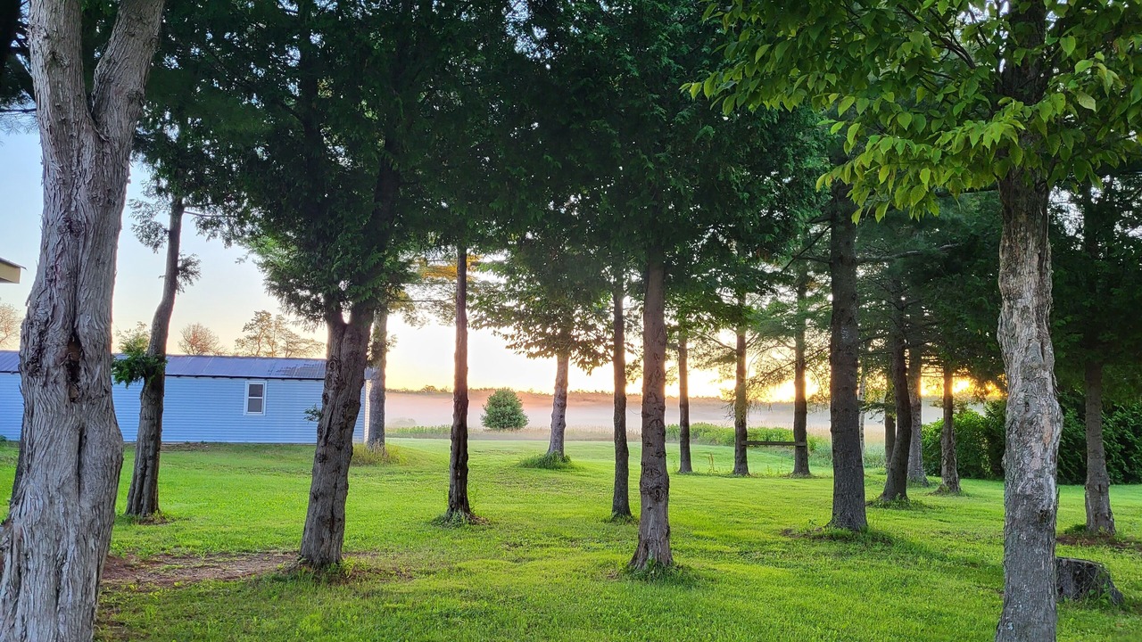 Photo of Outdoor in Tobermory