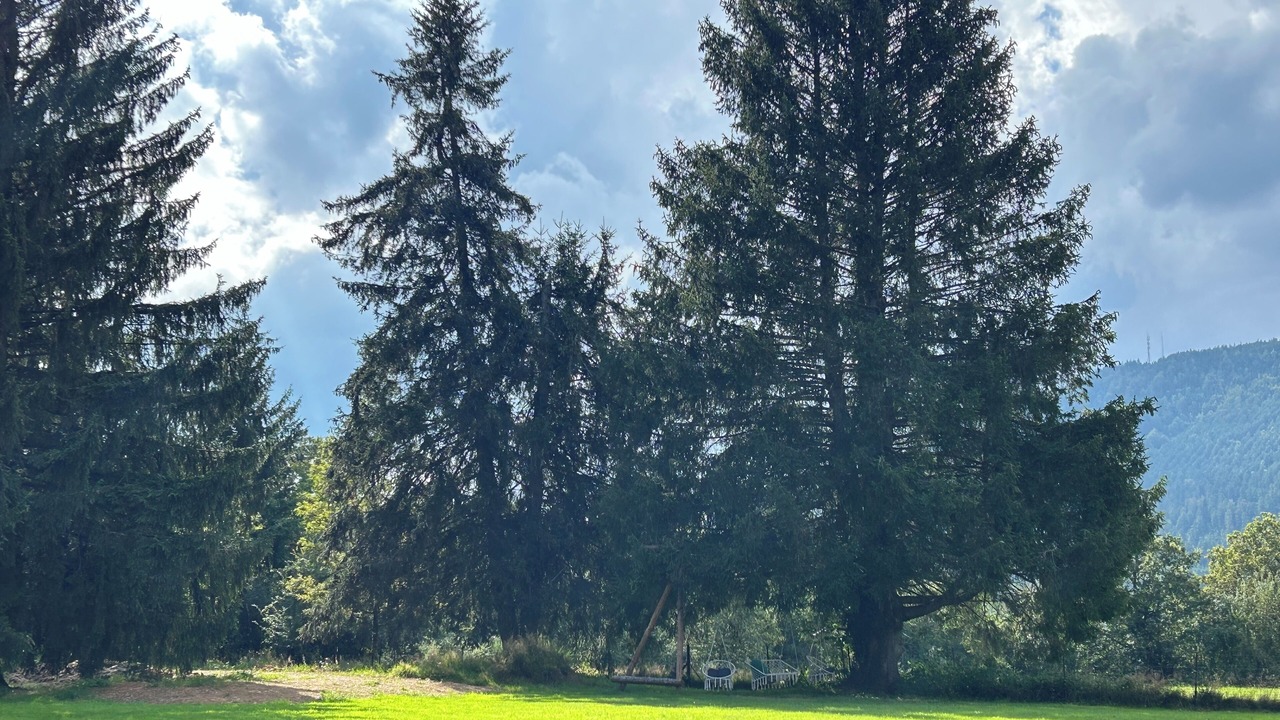 Photo of Others in Plaine