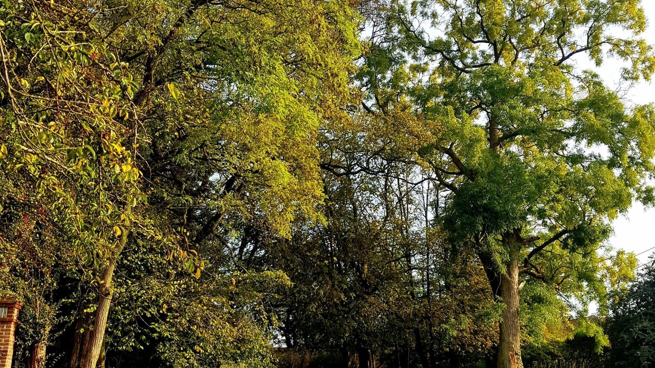 Photo of Outdoor in Le Ployron