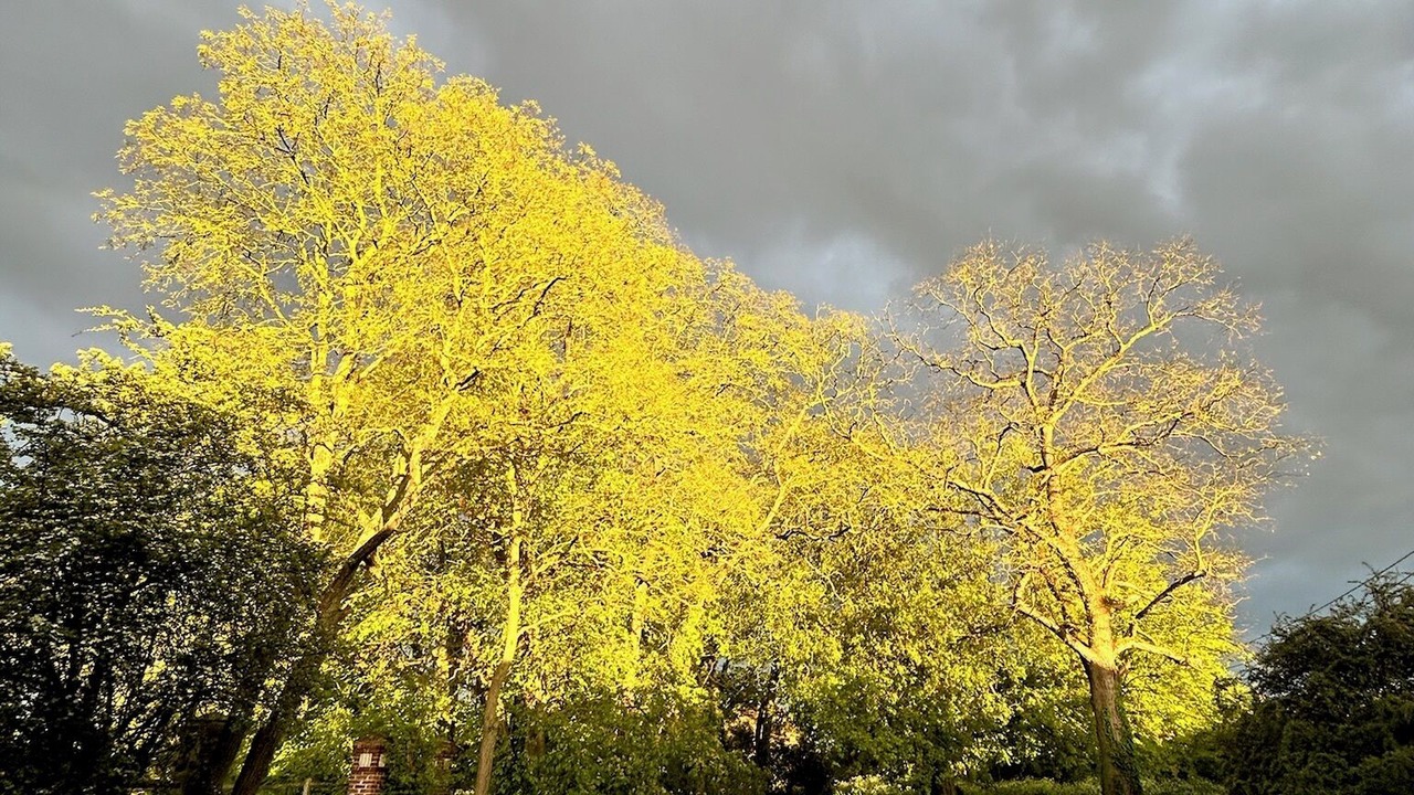 Photo of Outdoor in Le Ployron