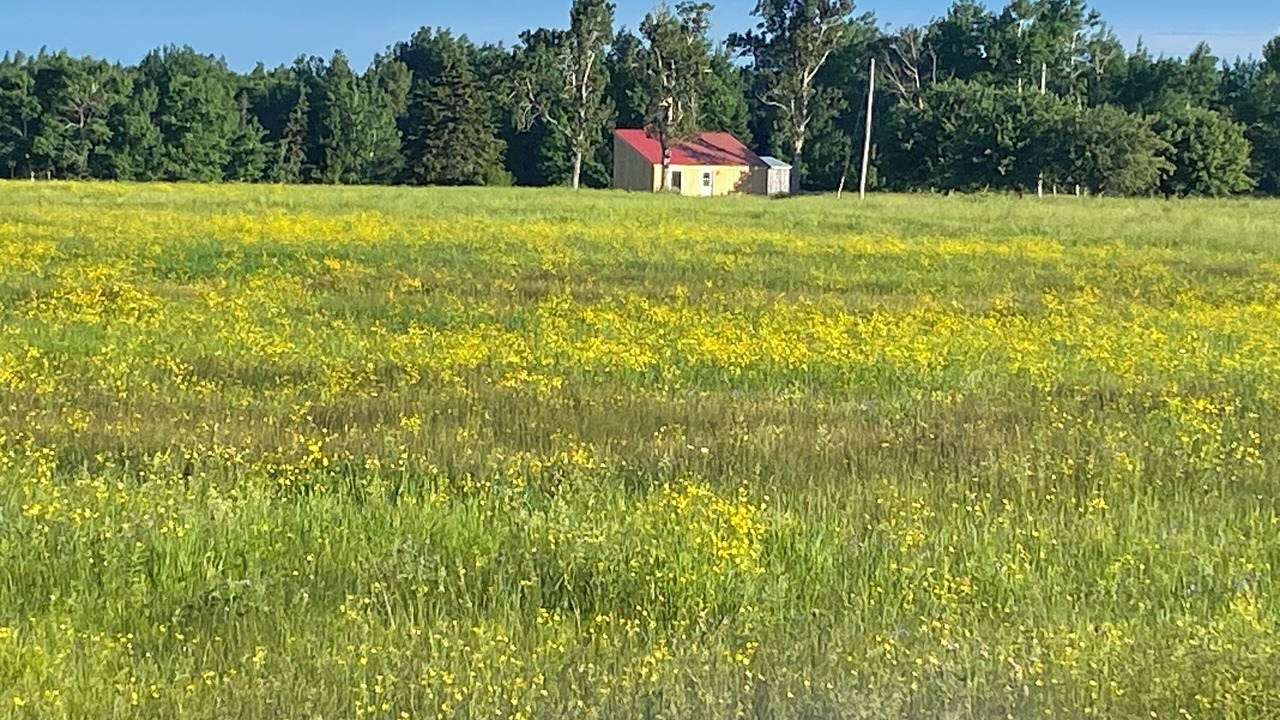 Photo of Others in Acadian Coastal Drive