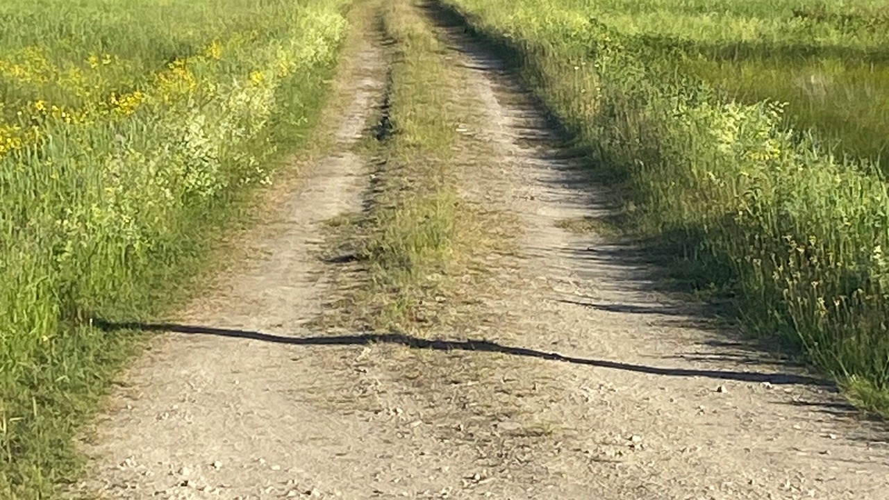 Photo of Others in Acadian Coastal Drive
