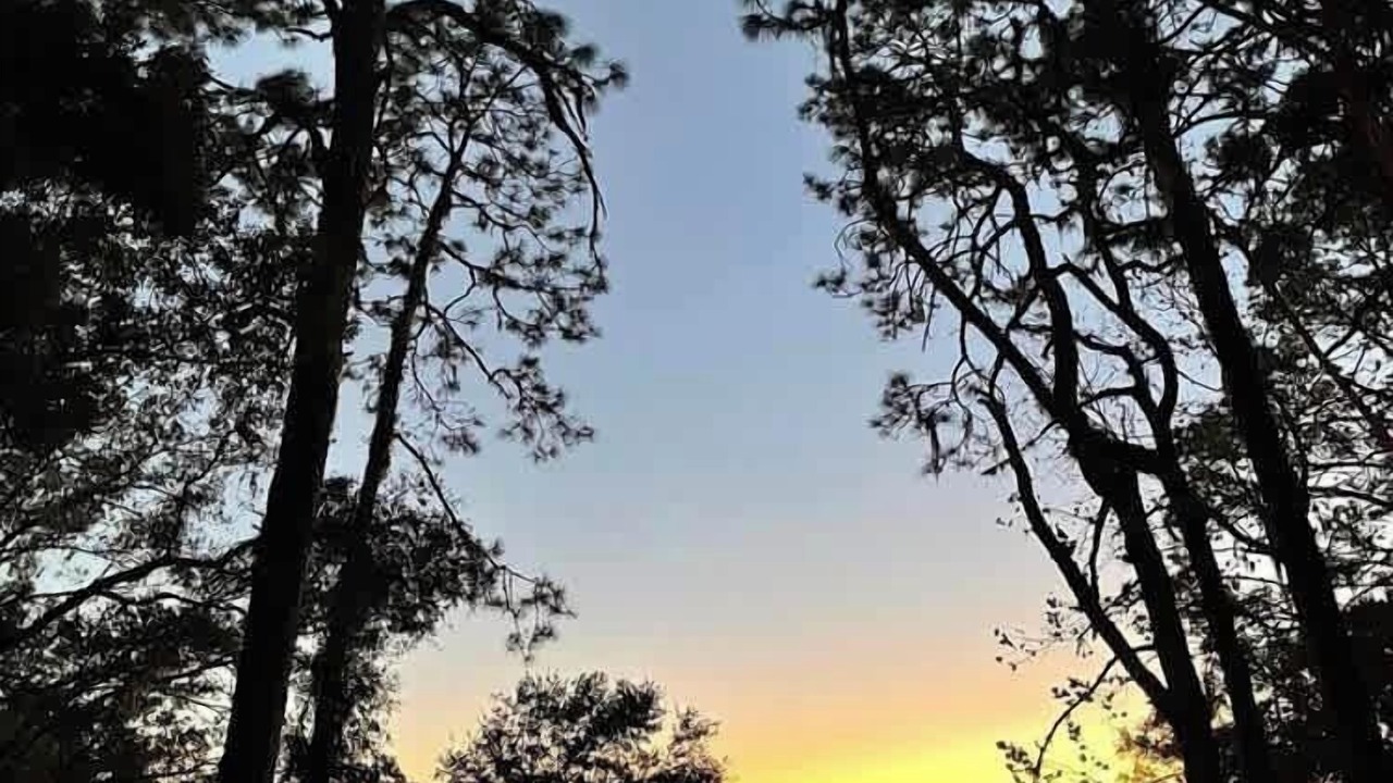 Photo of Others in Putnam Hall