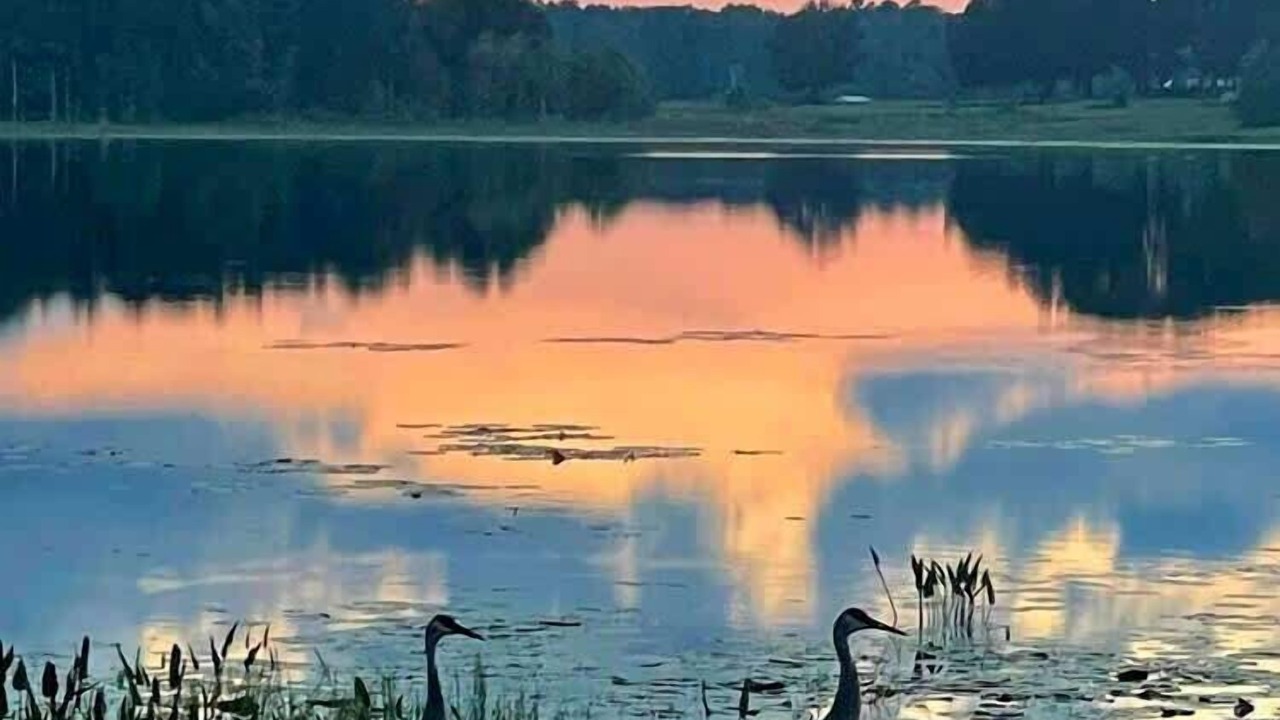 Photo of Others in Putnam Hall