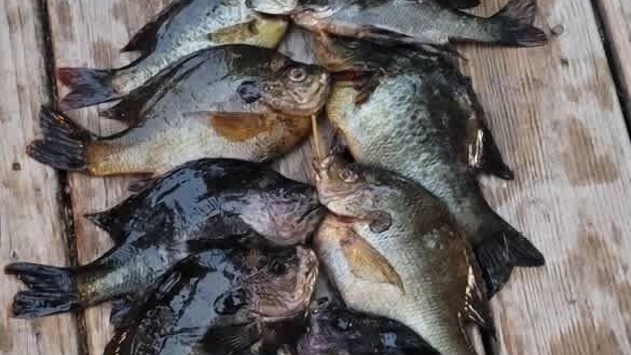 Photo of Others in Putnam Hall