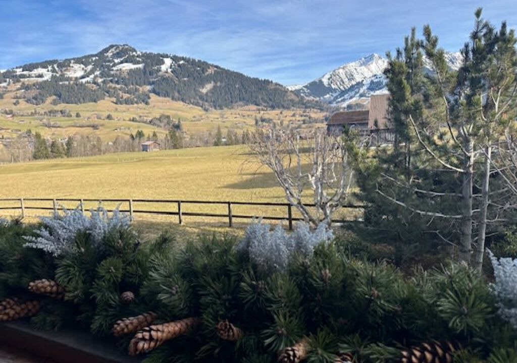 Photo of Others in Saanen
