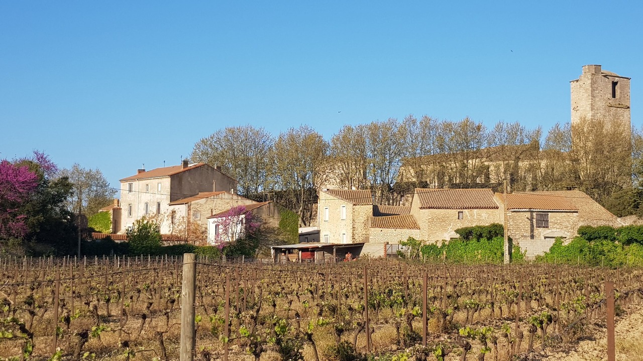 Photo of Outdoor in Fabrezan
