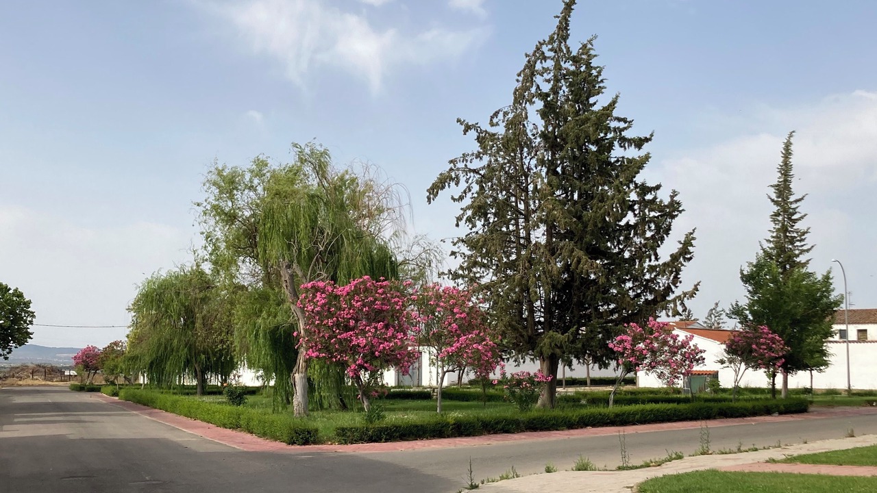 Photo of Outdoor in Guijo de Galisteo