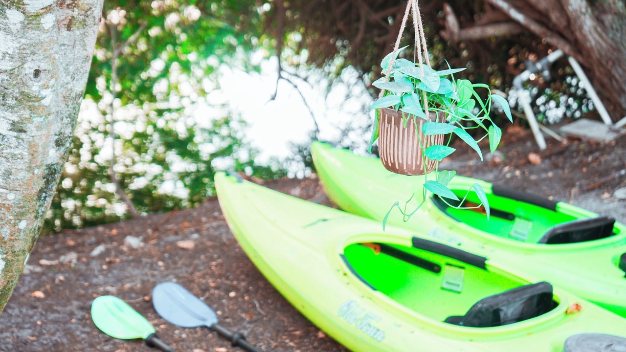 Photo of Outdoor in Golden Gate