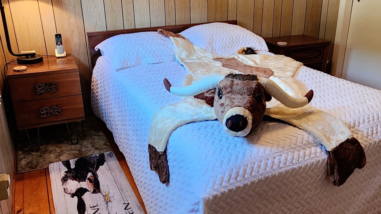 Photo of Bedroom in Cameron