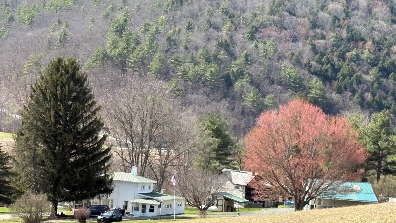 Photo of Outdoor in Cameron