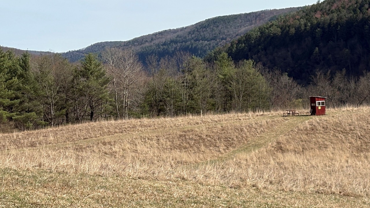 Photo of Others in Cameron