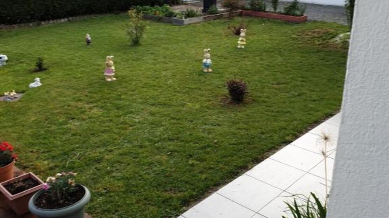 Photo of Outdoor in Lourdes