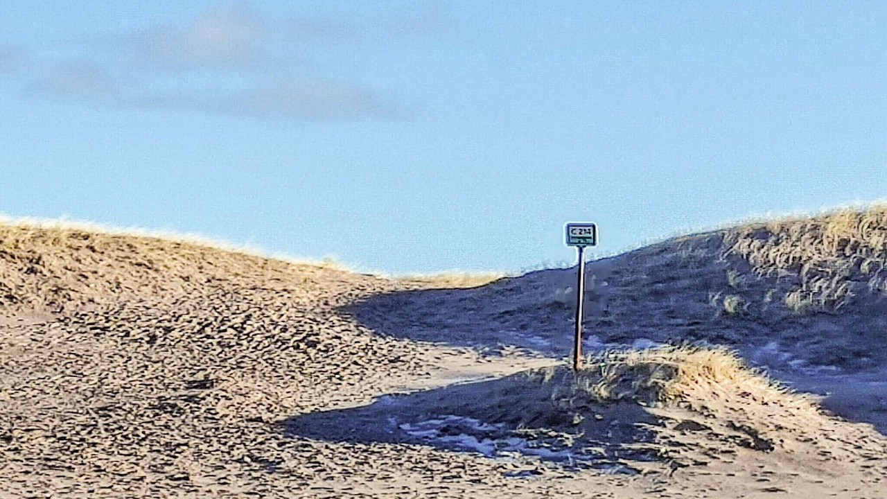 Photo of Others in Øby