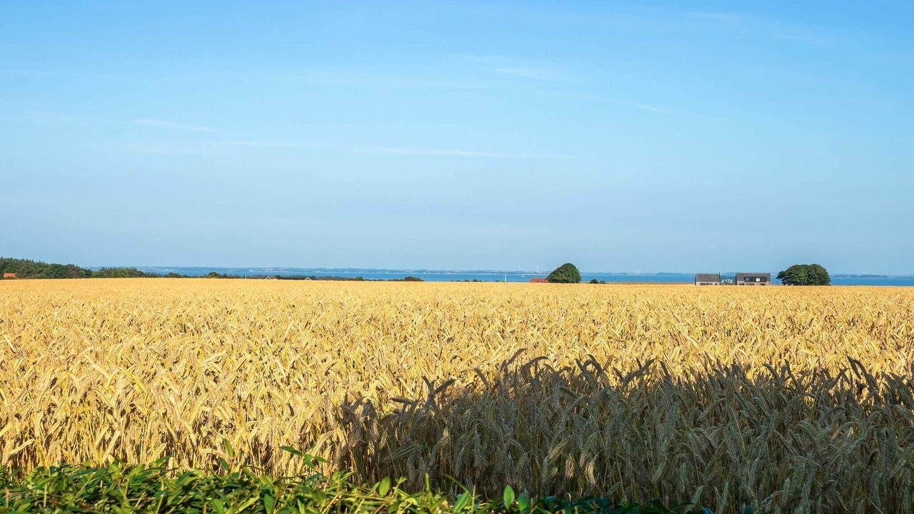 Photo of Outdoor in Spøttrup