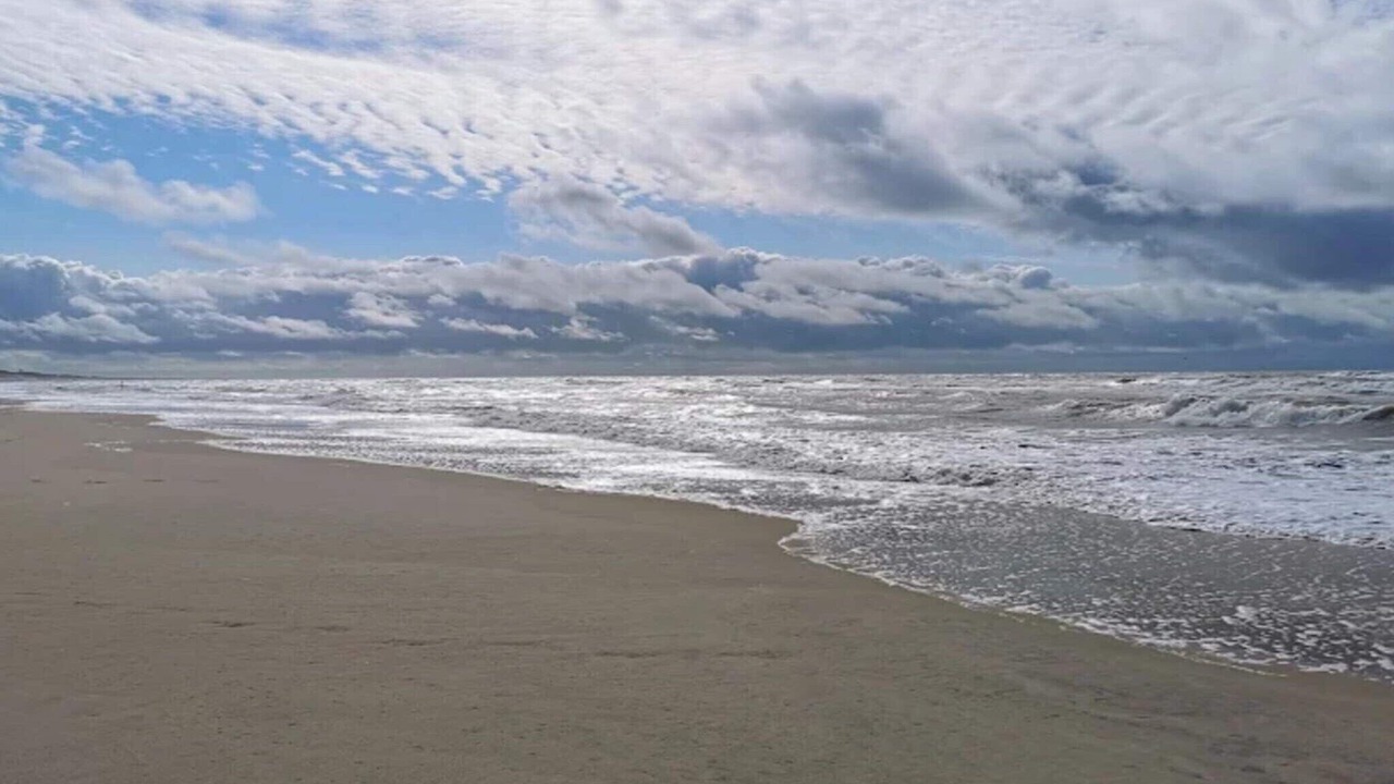 Photo of Others in Vedersø Klit