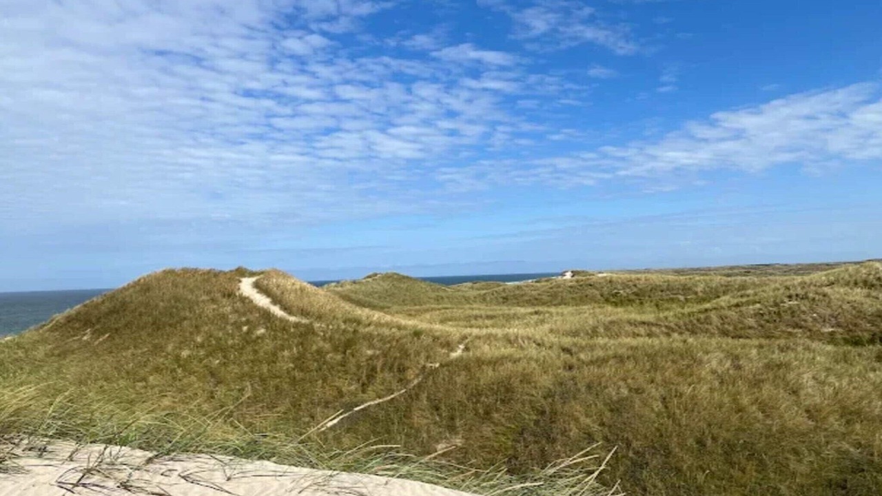 Photo of Others in Vedersø Klit