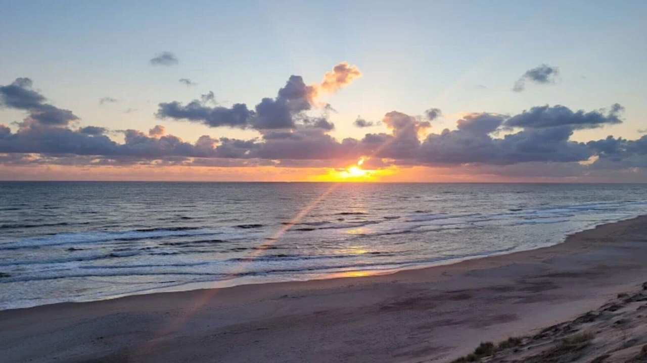 Photo of Others in Vedersø Klit