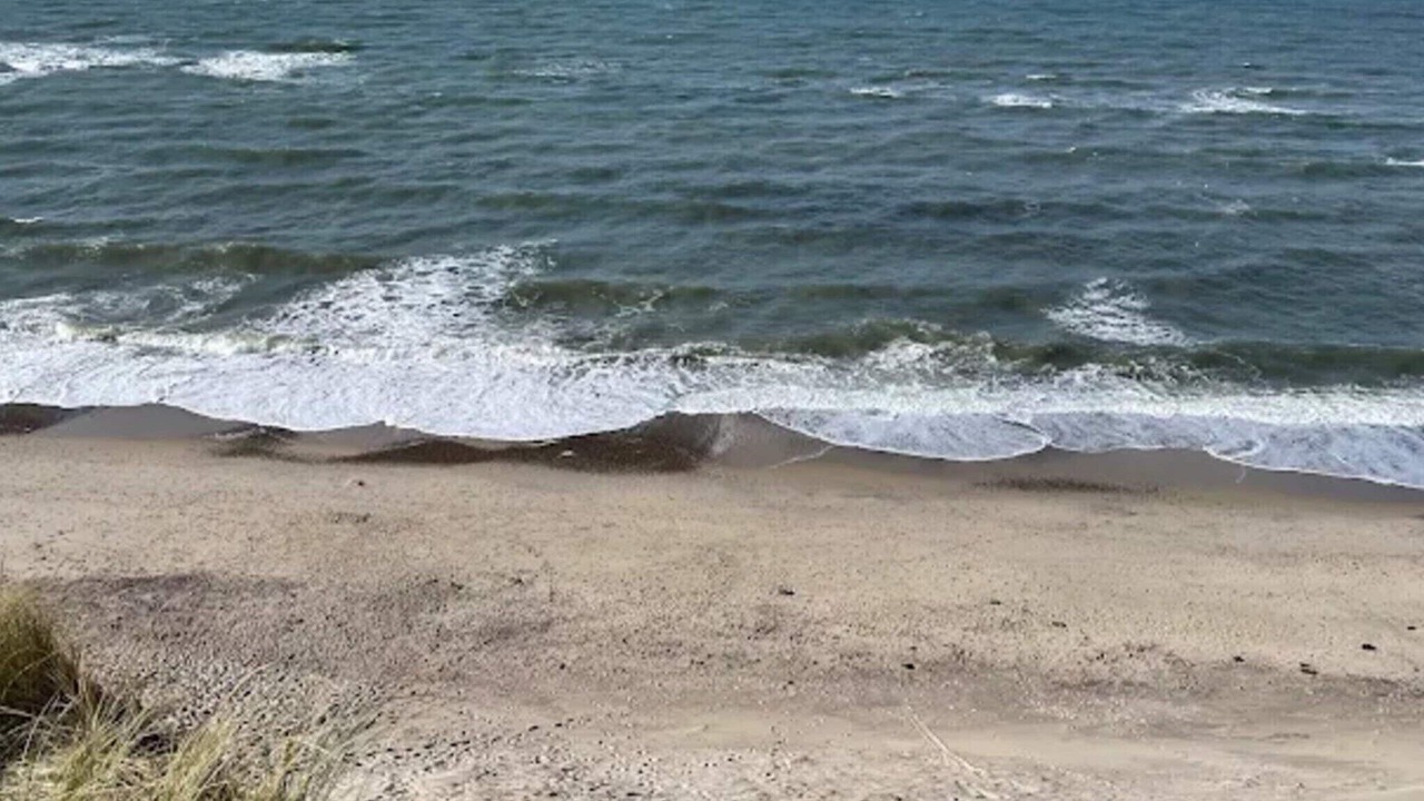 Photo of Others in Vedersø Klit