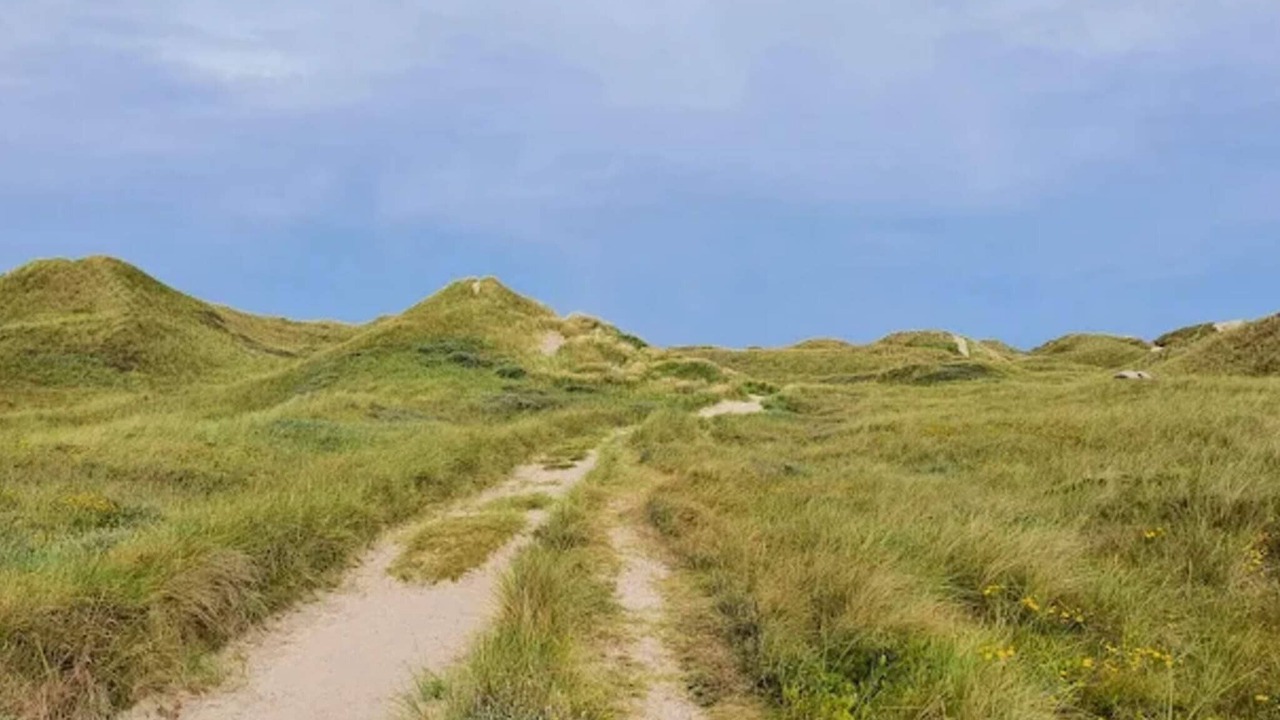 Photo of Others in Vedersø Klit