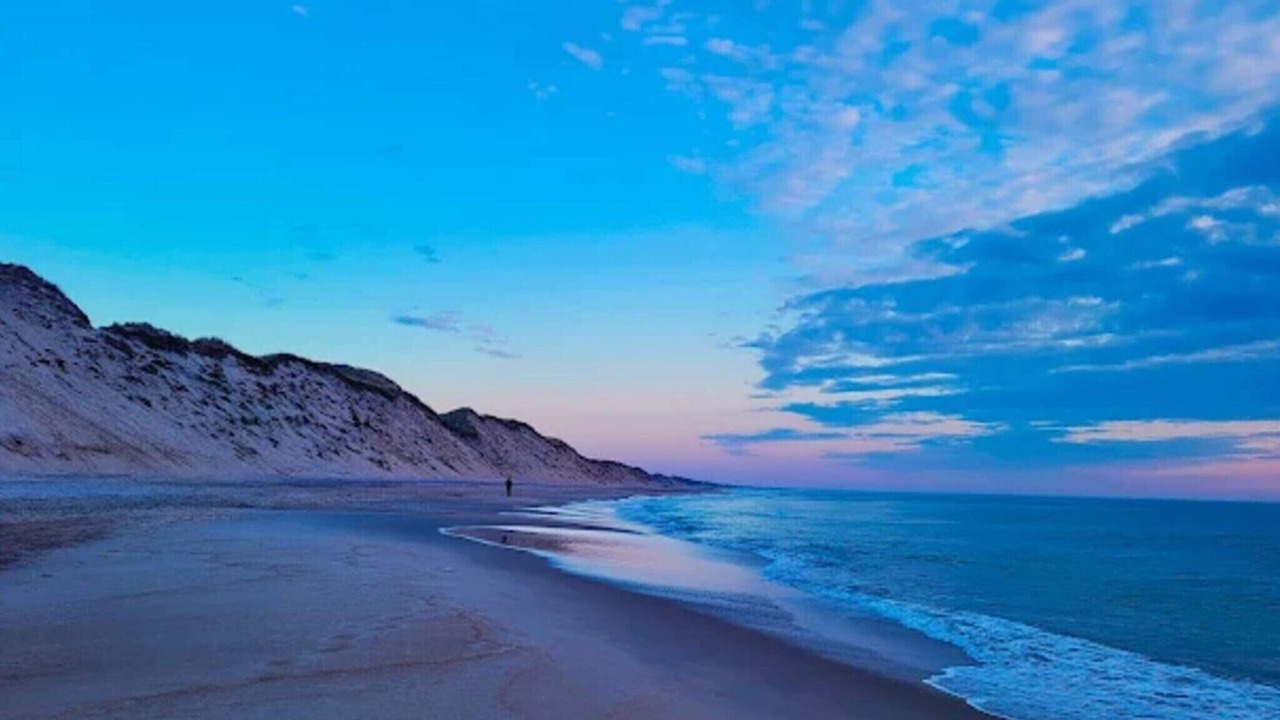 Photo of Others in Vedersø Klit