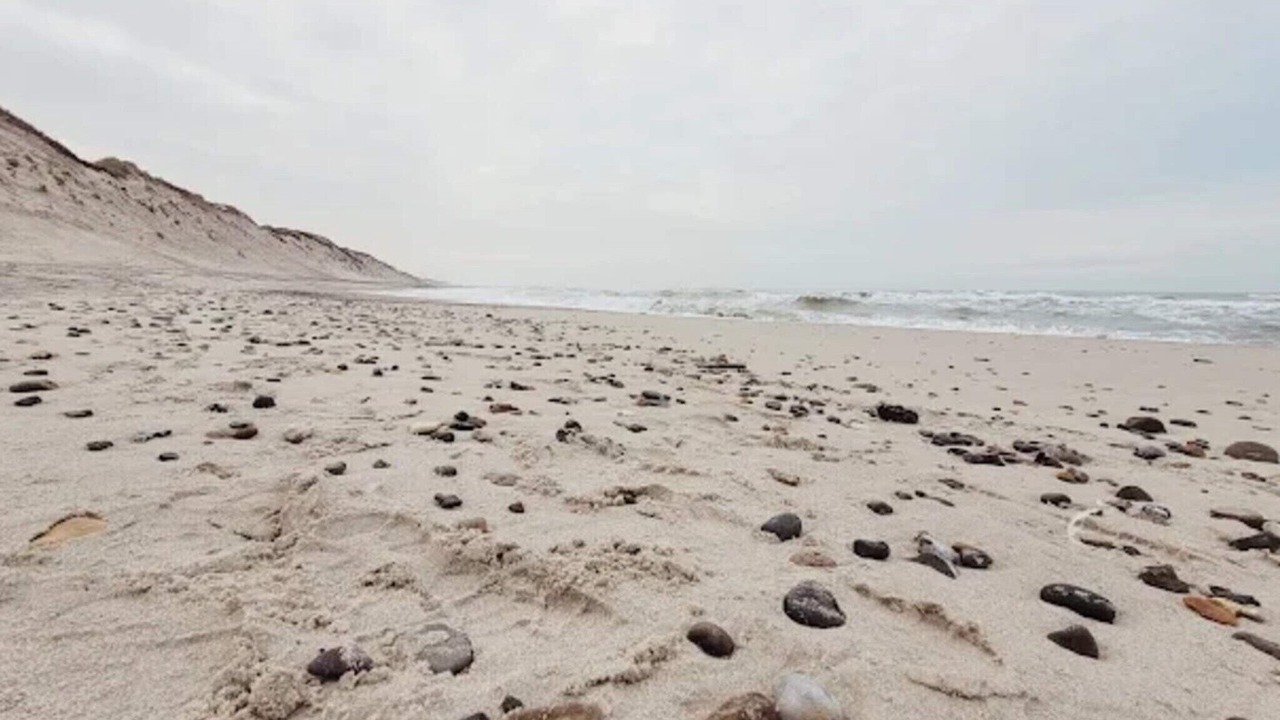 Photo of Others in Vedersø Klit