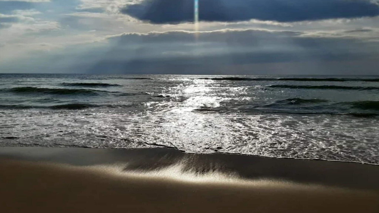 Photo of Others in Vedersø Klit