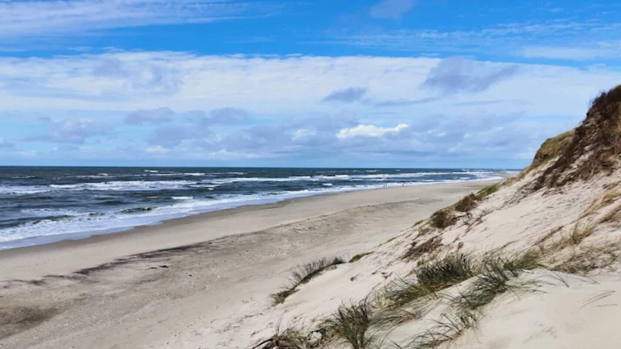 Photo of Others in Vedersø Klit