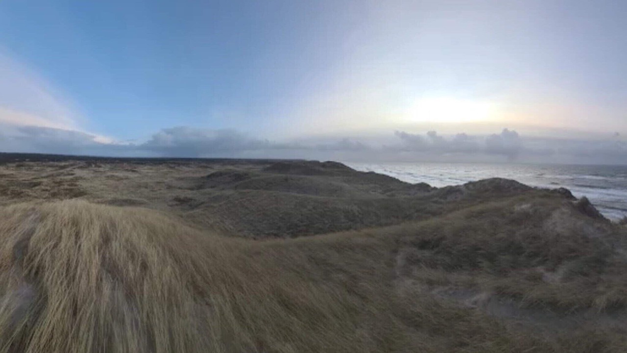 Photo of Others in Vedersø Klit