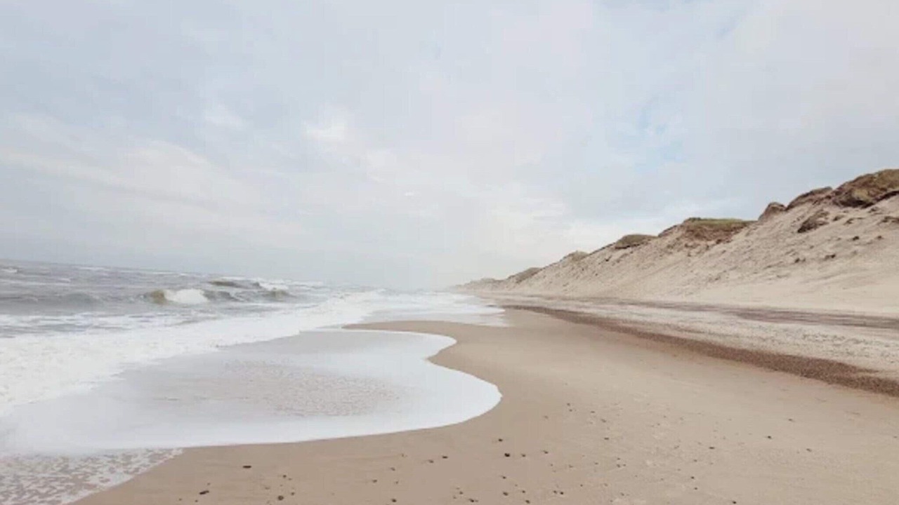 Photo of Others in Vedersø Klit