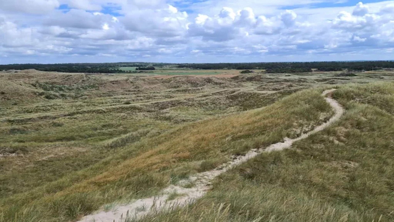 Photo of Others in Vedersø Klit