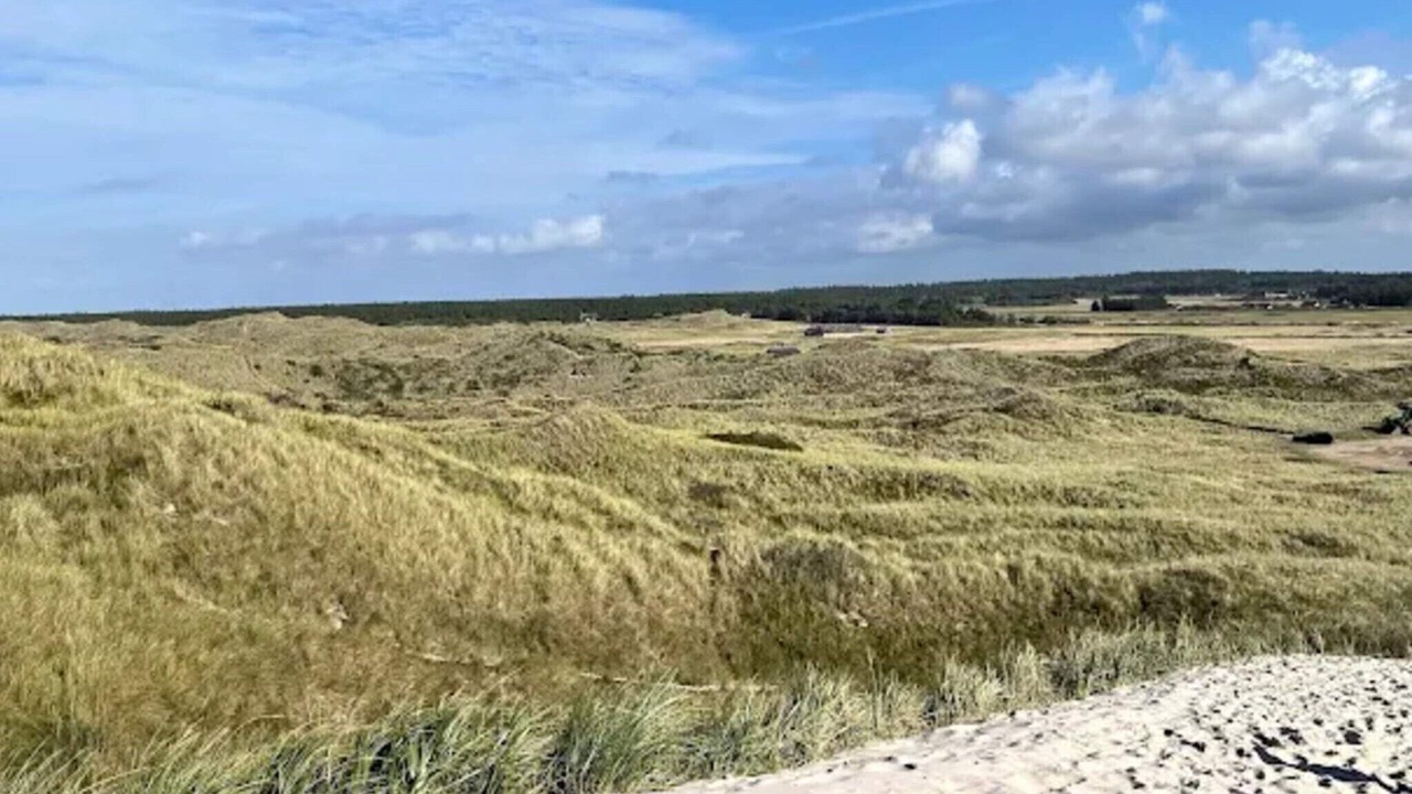 Photo of Others in Vedersø Klit