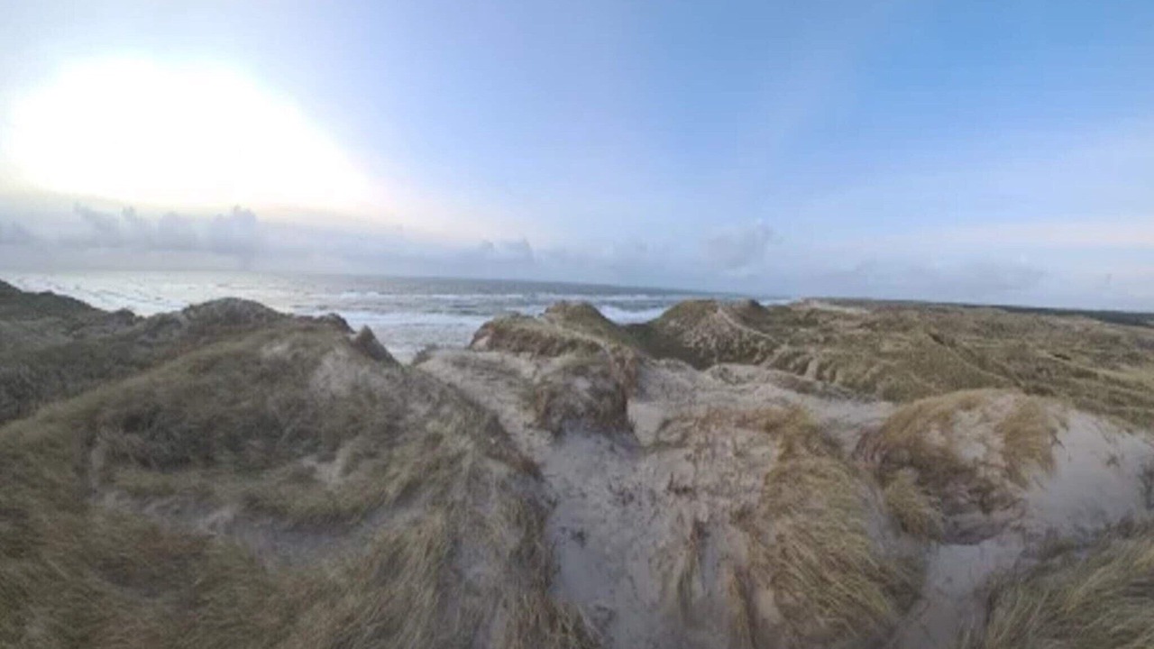 Photo of Others in Vedersø Klit