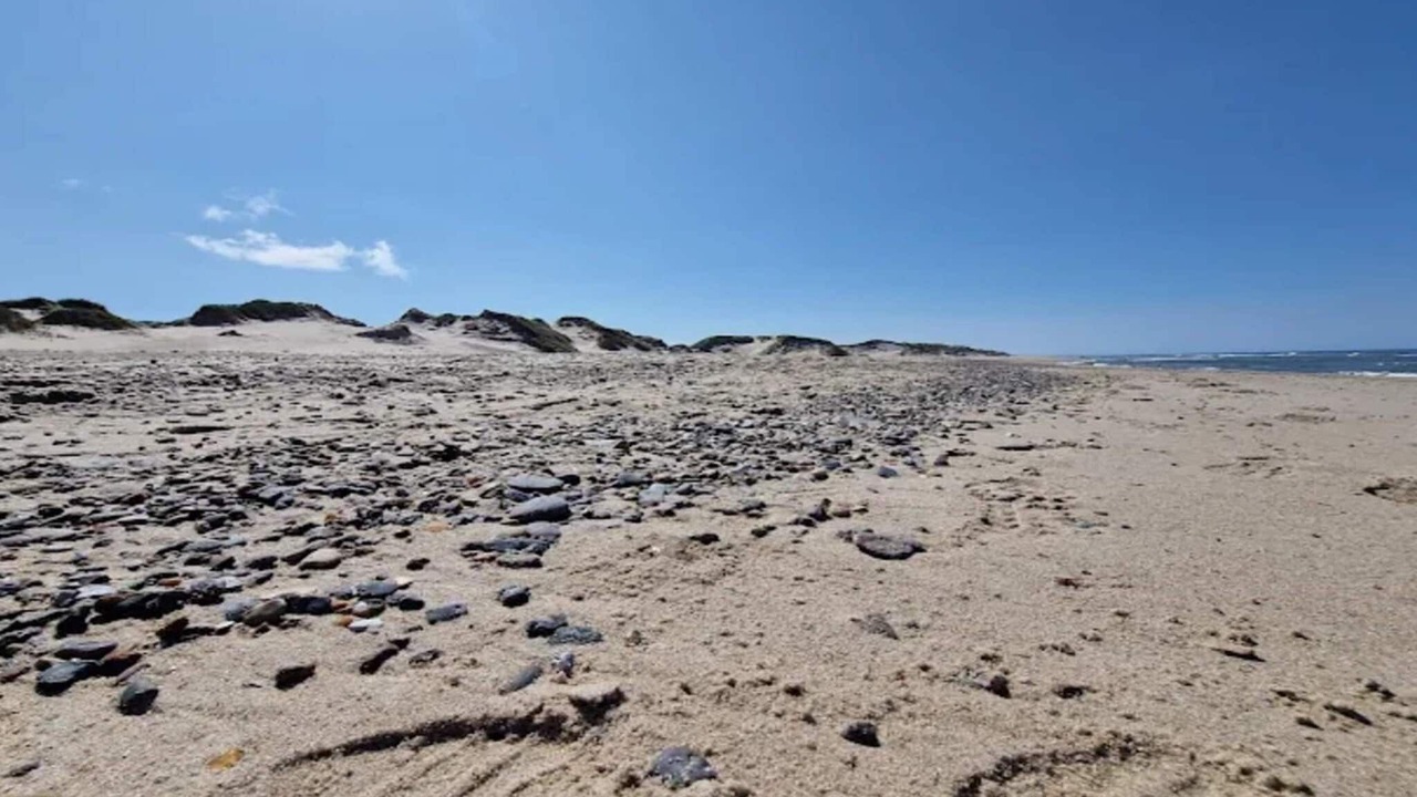 Photo of Others in Vedersø Klit