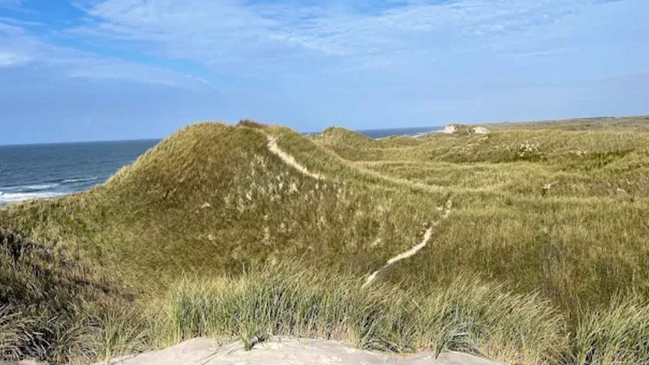 Photo of Others in Vedersø Klit